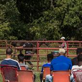 Teens Voice USA Horse Ranch