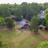 Black Dog Farms