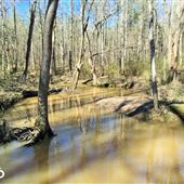 Loyd Ranch