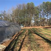 Urban Sprout Farms