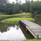 Pond, Woods, Shed on 19 acres