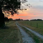 200+ acre South Fayette Cattle Farm