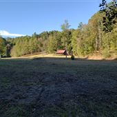 Cedar Fork