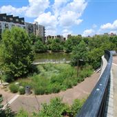 Historic Fourth Ward Park