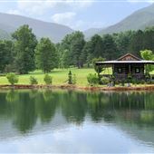 Idyll at Betty Creek Valley