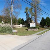 Tiger Drive In