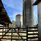 Jacob's Farm