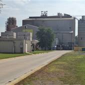 Argos Cement