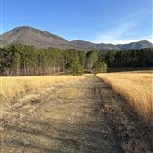Cohutta Farm