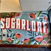 Sugarloaf Mills Mall