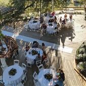 Gin Creek Plantation