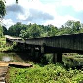 Alcovy River Bridge