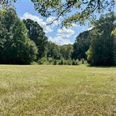 Thirty-Four Acres in Walton County