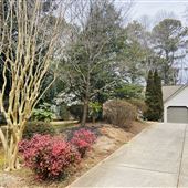 Forest brook