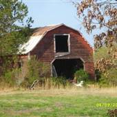 Ten Oaks Farm