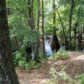Withlacoochee River @ Camp Tygart