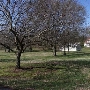 Rollins Ranch