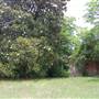 Old Farm Place & New House