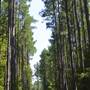 Historic Baptisimal Trail