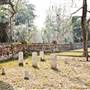Midway Cemetery