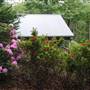 Sassafras Mountain, Jasper GA