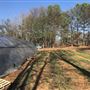 Urban Sprout Farms