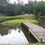 Pond, Woods, Shed on 19 acres