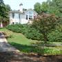 Lake Lanier Homes, Dawson County