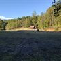 Cedar Fork