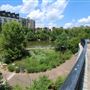 Historic Fourth Ward Park
