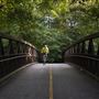 Alpharetta Big Creek Greenway