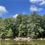 Beane Acres