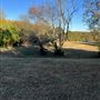 Hickory Flat Hill Top Home