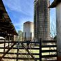 Jacob's Farm