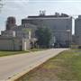Argos Cement