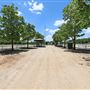 Georgia International Horse Park Event/Equestrian Areas