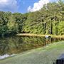 4-Acre Property w/Barn & Pond