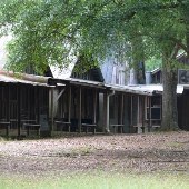 Morrison Campground