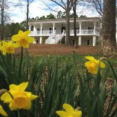 Residence of Mark & Telia Hanks