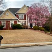 Bliese Home
