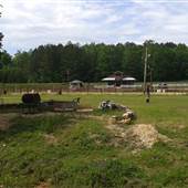 Possum Snout Arena