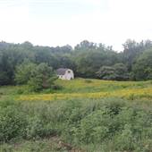 Goshen Valley