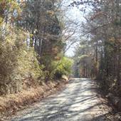 Dirt Road...Bryant Boys Road