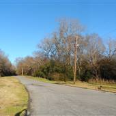 Country Roads and Lanes