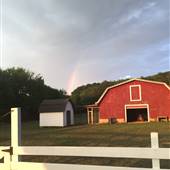 McCauley Farm
