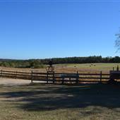 Steed's Dairy Farm