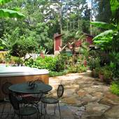 1 Acre Tropical Backyard