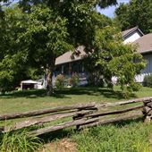 The Blueberry Farm