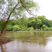 Ocmulgee River