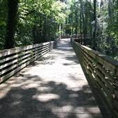 Path through Woods
